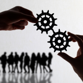 Digital Operations & Productivity Platforms